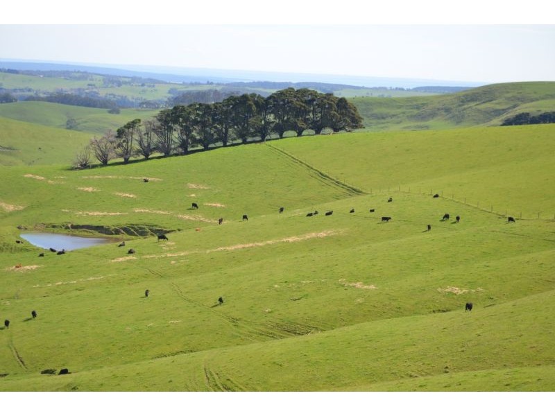 corner Caldwells Road and Loch Wonthaggi Road, Krowera VIC 3945