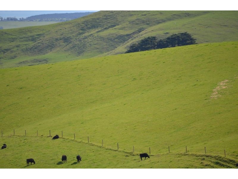 corner Caldwells Road and Loch Wonthaggi Road, Krowera VIC 3945