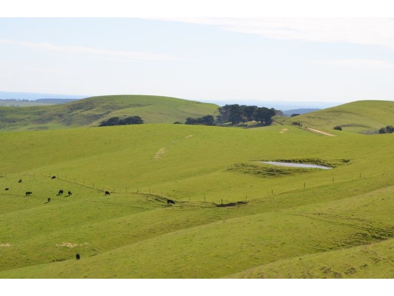 corner Caldwells Road and Loch Wonthaggi Road, Krowera VIC 3945