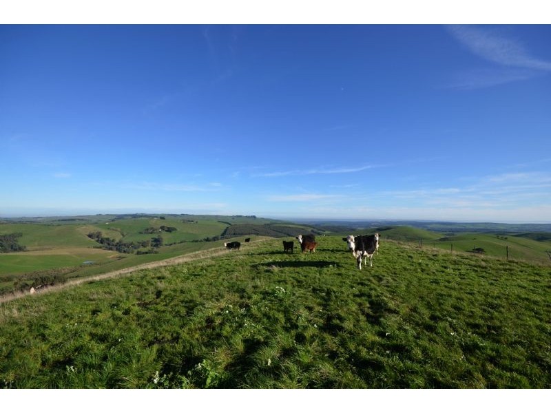 1650 Loch-Wonthaggi Road, Almurta VIC 3979