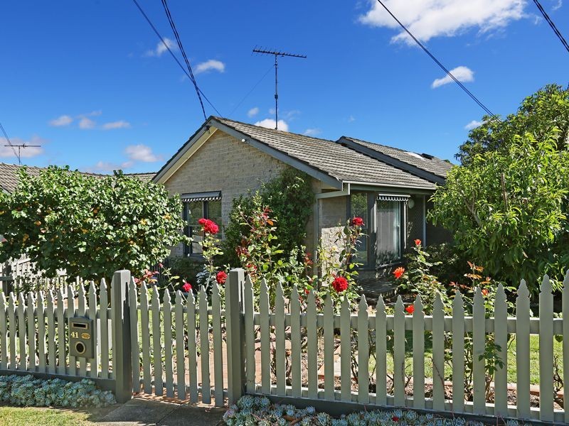 41 Moreton Bay Drive, Highton VIC 3216