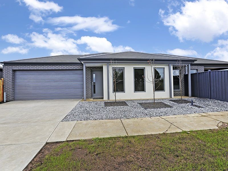 6 Johnson Street, Belmont VIC 3216