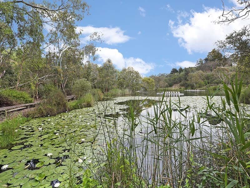 10 Pinnacle Close, Highton VIC 3216