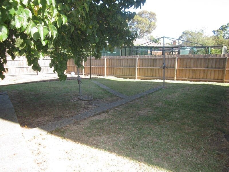 2/337 High Street, Belmont VIC 3216
