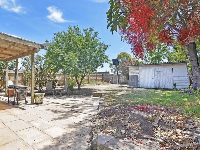 6 Lloyd Street, Belmont VIC 3216