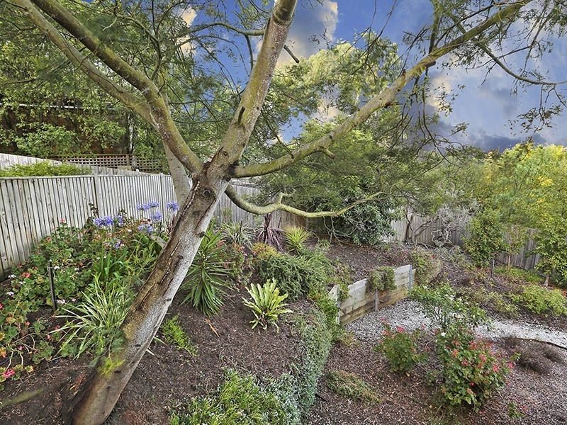 61 James Cook Drive, Wandana Heights VIC 3216