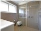 66 Kidman Avenue, Belmont VIC 3216