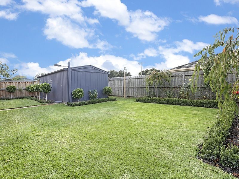66 Kidman Avenue, Belmont VIC 3216