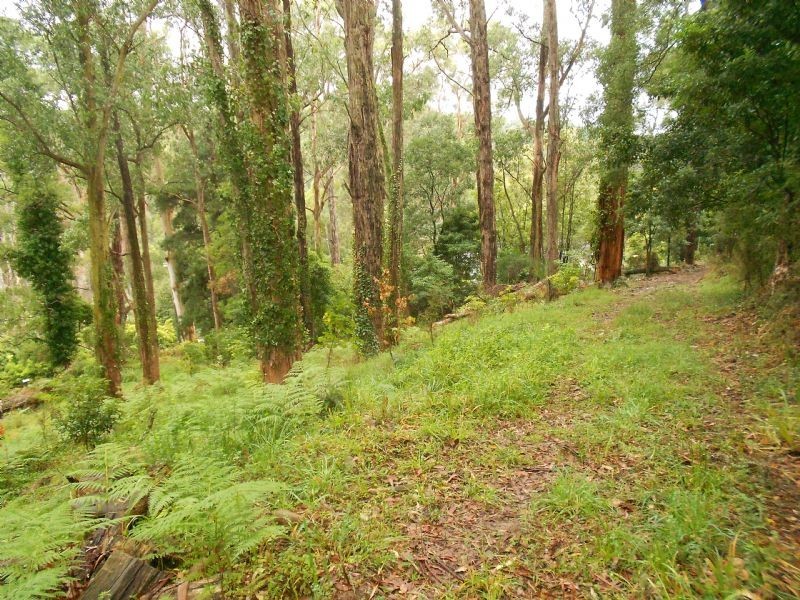 11 Peters Road, Belgrave VIC 3160