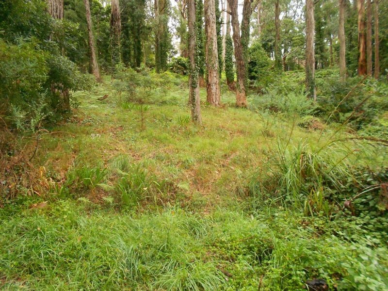 11 Peters Road, Belgrave VIC 3160