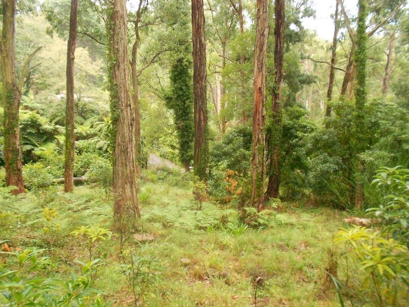 11 Peters Road, Belgrave VIC 3160