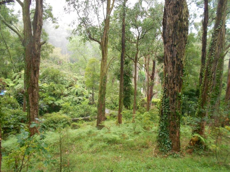 11 Peters Road, Belgrave VIC 3160