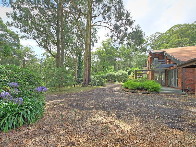57 Range Road, Sassafras VIC 3787