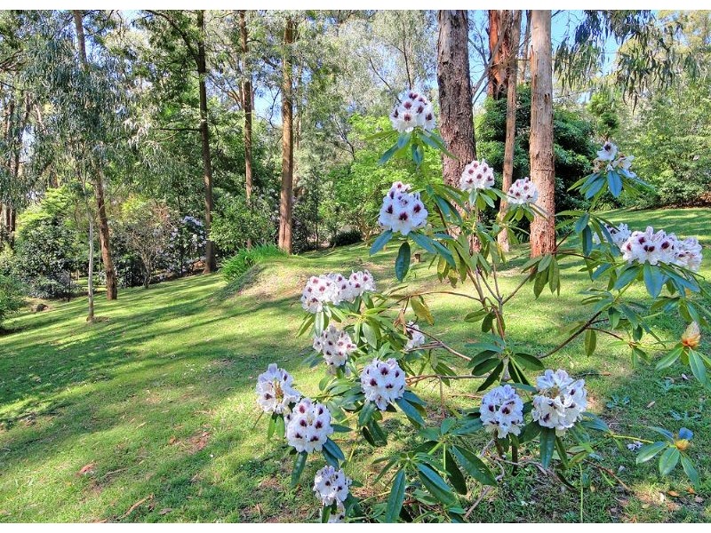 82 Inverness Rd, Kalorama VIC 3766
