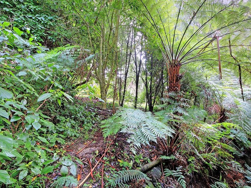 521 Mt Dandenong Tourist Road,, Olinda VIC 3788