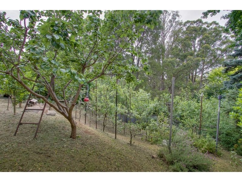 49 Falls Road, Kalorama VIC 3766