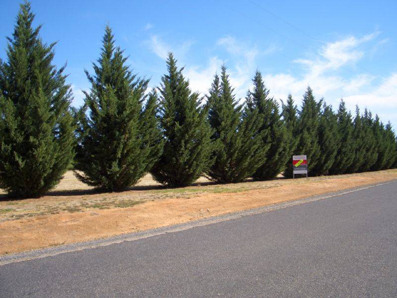 Lot 32 FIRBANK DRIVE, Wangaratta VIC 3677