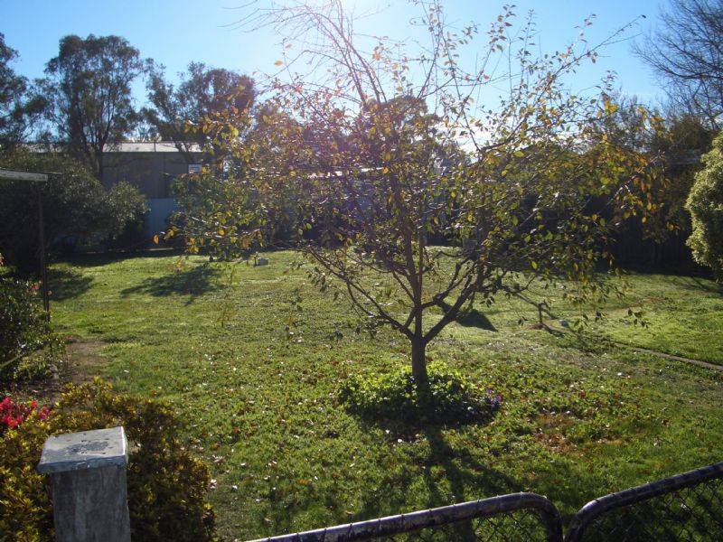 16 TURNER STREET, Wangaratta VIC 3677