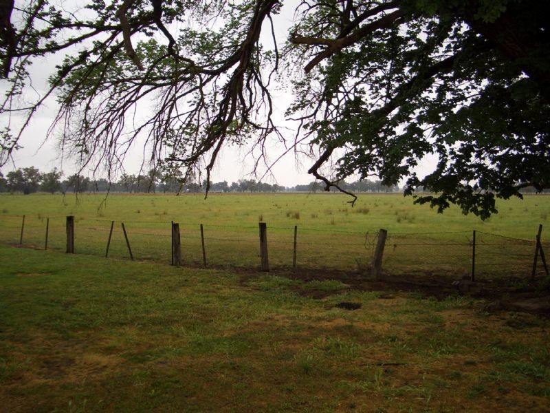 328 MILAWA-BOBINAWARRAH ROAD, Milawa VIC 3678