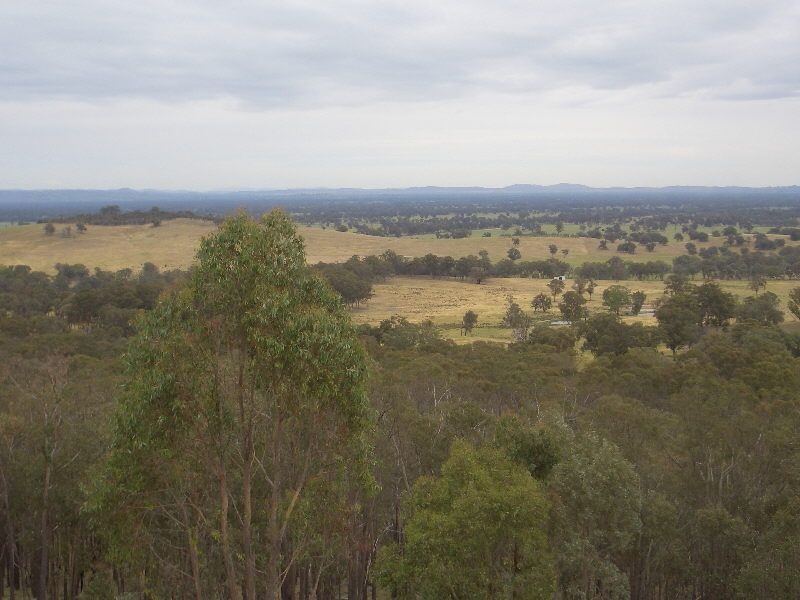 170 YARRABEE ROAD, Markwood VIC 3678