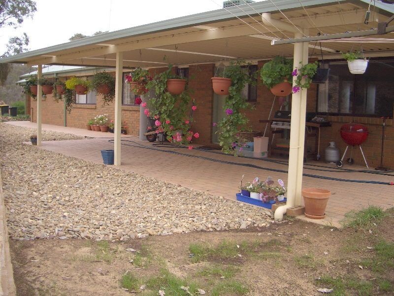 170 YARRABEE ROAD, Markwood VIC 3678