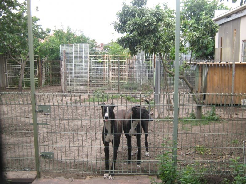 79 Vincent Avenue, St Albans VIC 3021