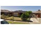 19 Denton Avenue, St Albans VIC 3021