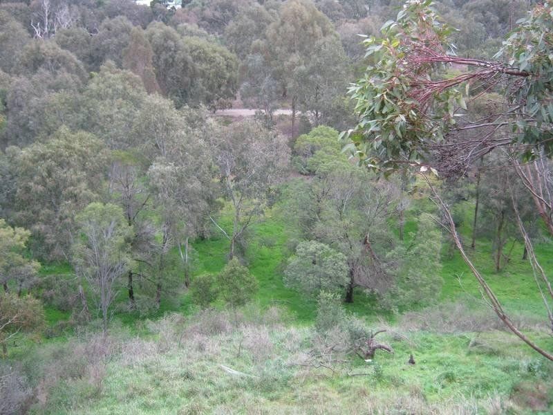 21 Riverside Avenue, Keilor VIC 3036