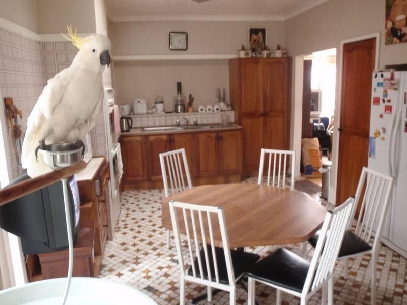 17 Theodore Street, St Albans VIC 3021