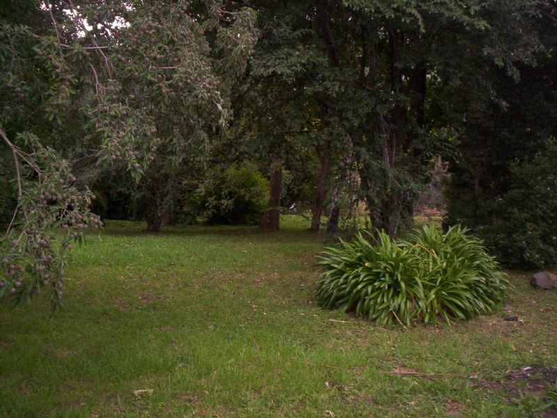162 Ridge Road, Mount Dandenong VIC 3767