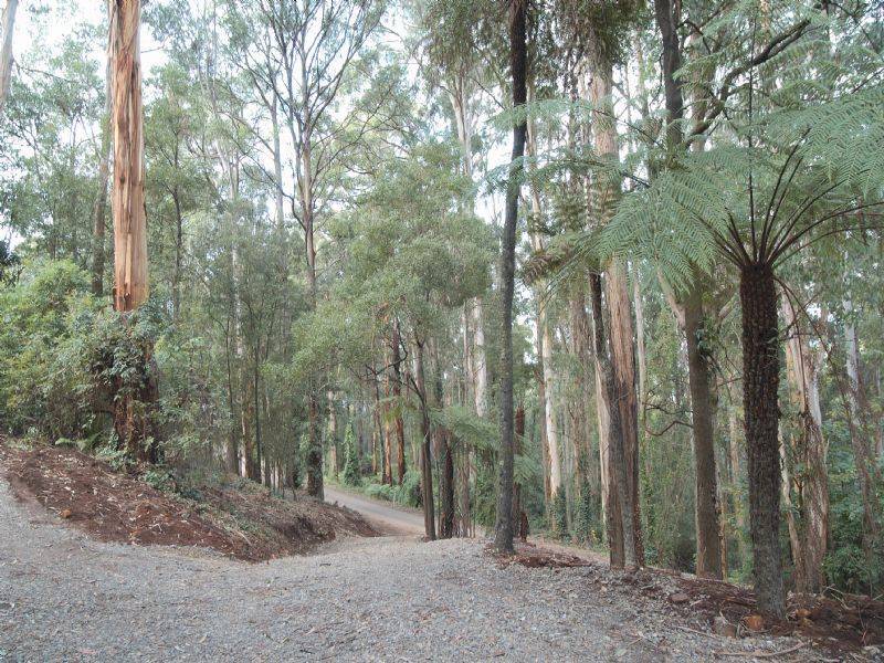 60 Olinda Creek Road, Kalorama VIC 3766