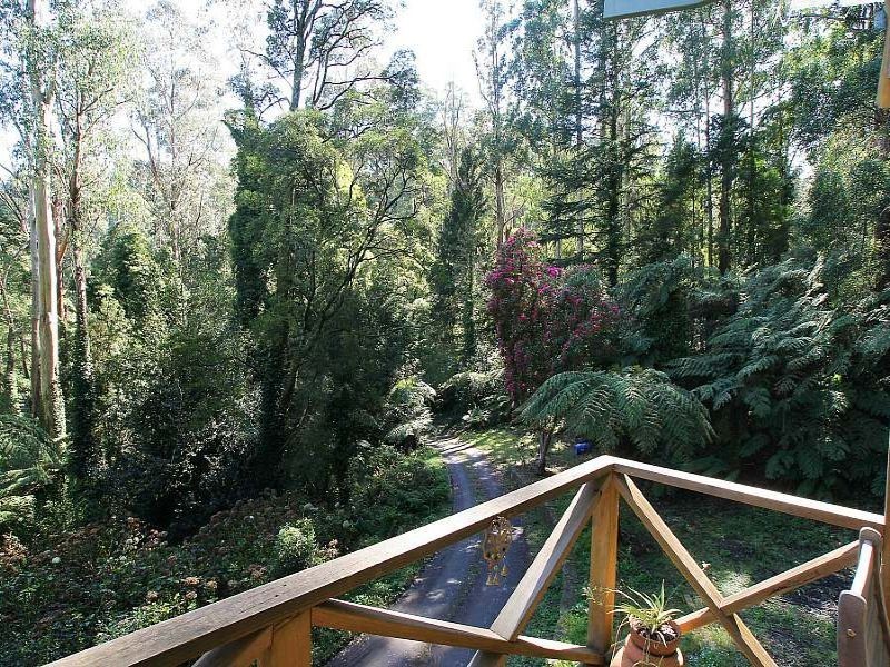 11 Perrins Creek Road, Olinda VIC 3788