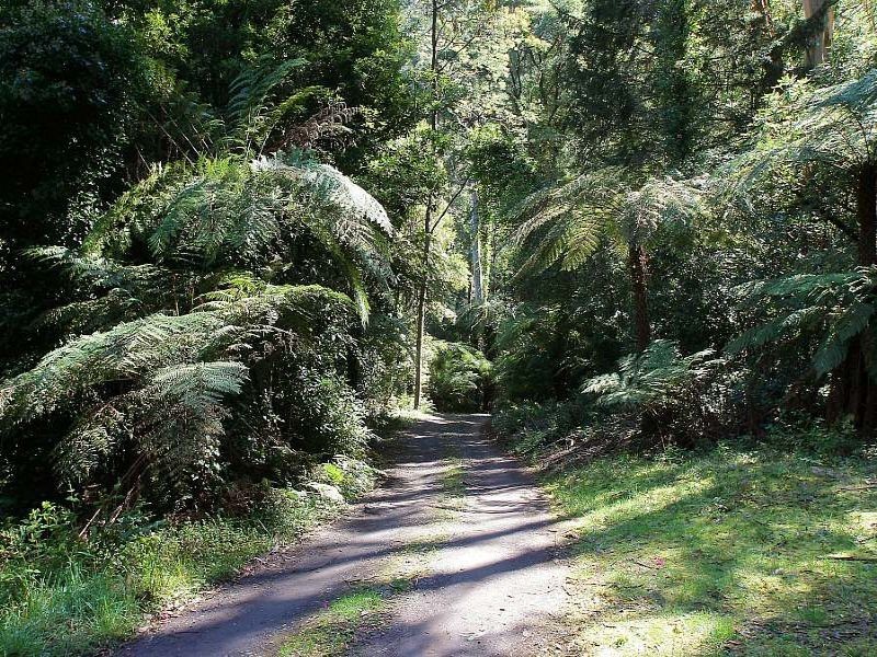 11 Perrins Creek Road, Olinda VIC 3788