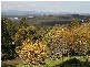 2 Yosemite Road, Kalorama VIC 3766