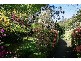 135 Olinda – Monbulk Road, Olinda VIC 3788