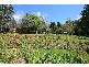 1357 Mt Dandenong Tourist Road, Mount Dandenong VIC 3767