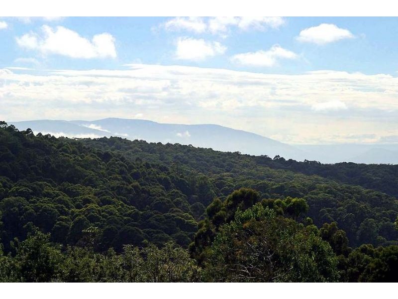 8 Ernest Road, Kalorama VIC 3766