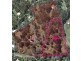 Lot 3, 4 One Tree Hill Road, Ferny Creek VIC 3786