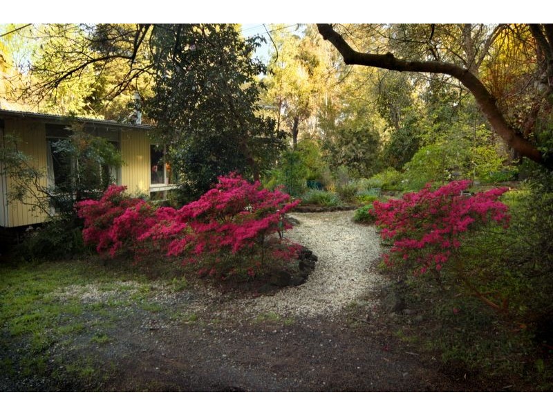 3 Coonara Court, Olinda VIC 3788