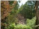 37 Childs Road, Kalorama VIC 3766