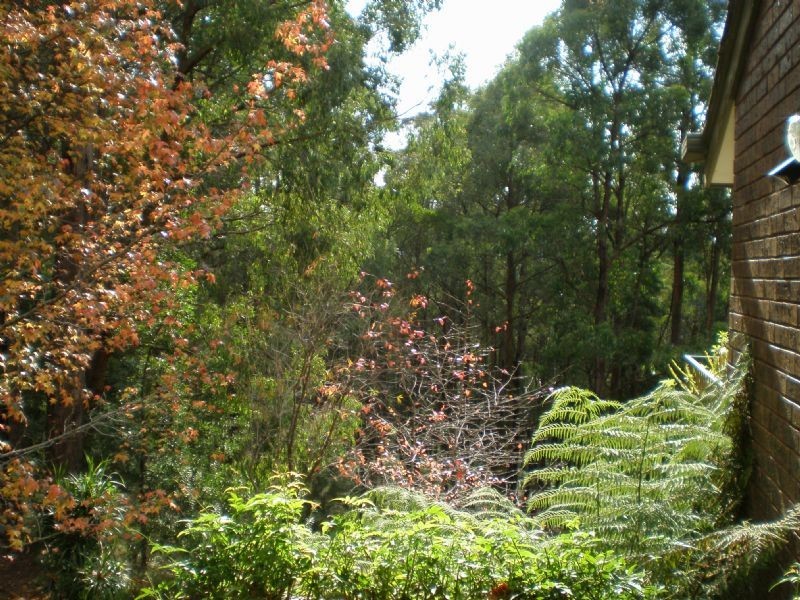 37 Childs Road, Kalorama VIC 3766