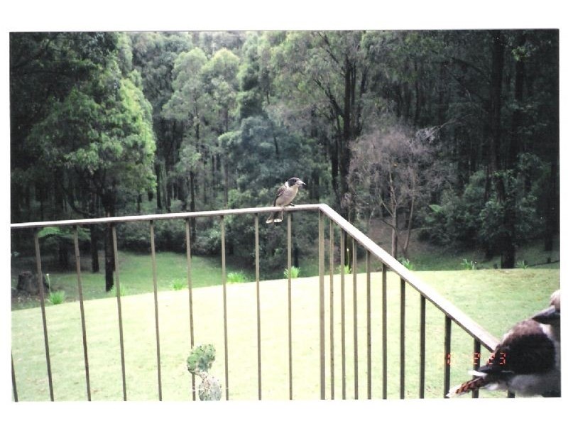 37 Childs Road, Kalorama VIC 3766