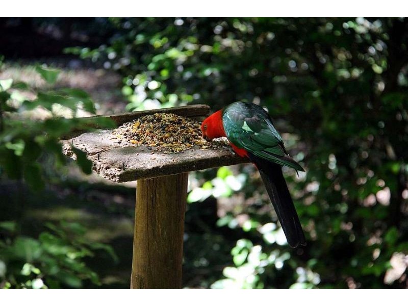 1170 Mt Dandenong Tourist Road, Kalorama VIC 3766