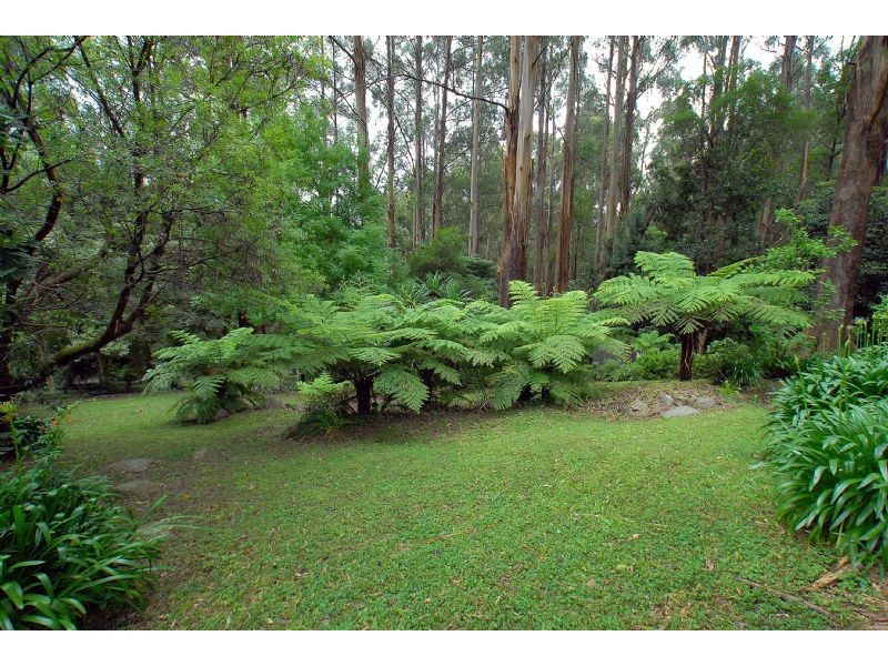 5 Roy Road, Olinda VIC 3788