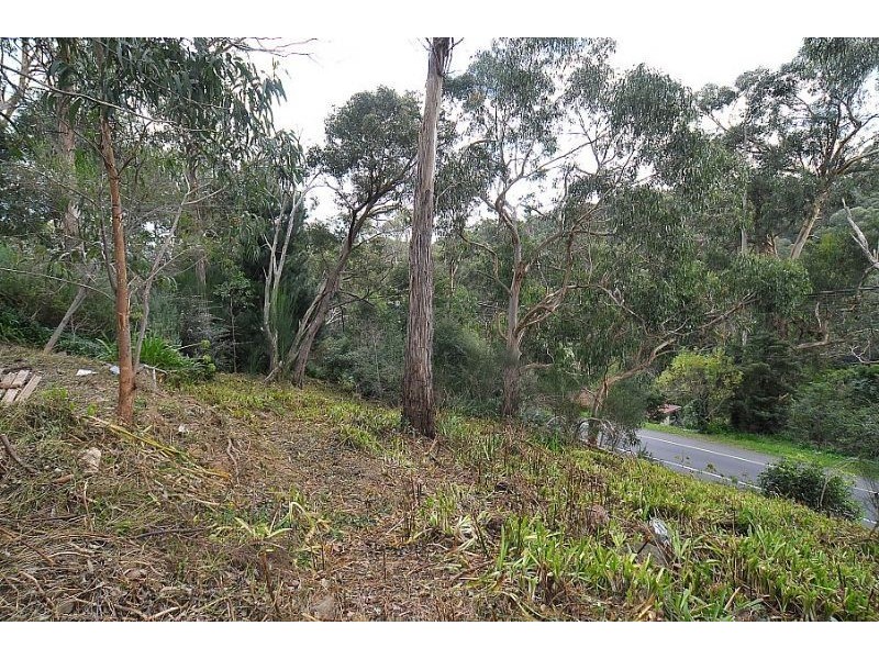 74 McNicol Road, Belgrave VIC 3160