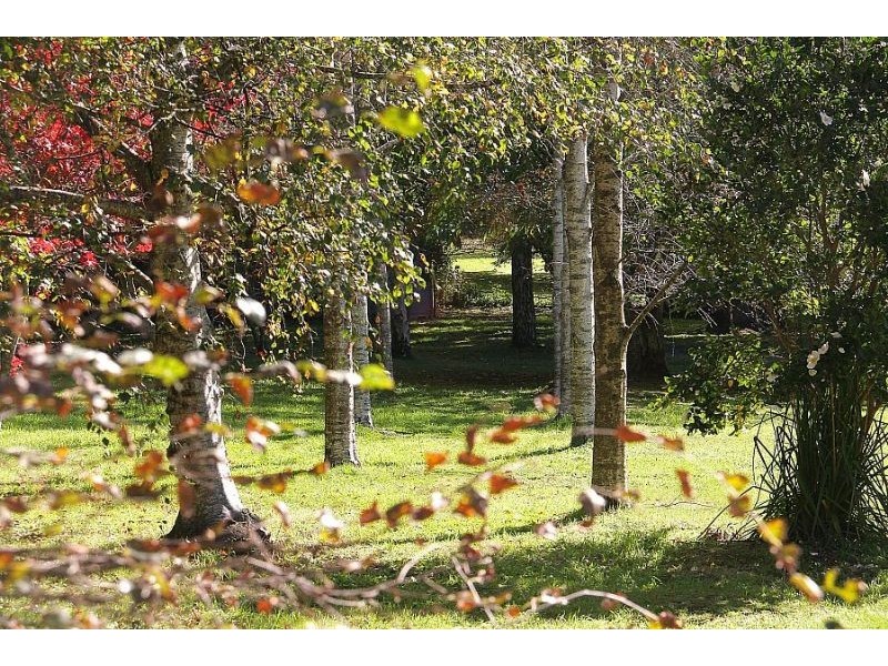 7 Mt Erin Road, Ferny Creek VIC 3786