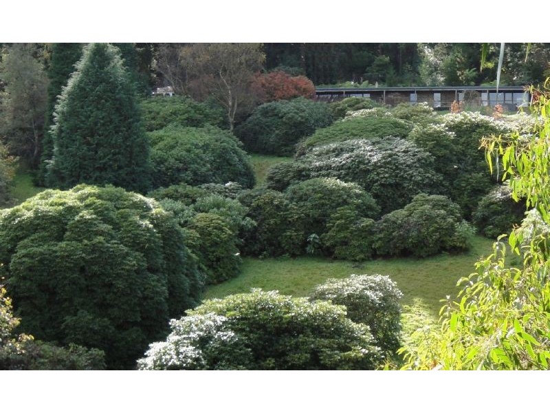 10 Mernda Road, Olinda VIC 3788