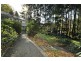 3 Panteg Road, Sassafras VIC 3787