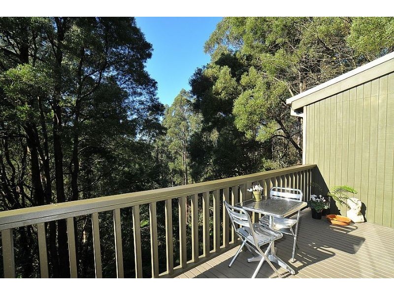 342 Mount Dandenong Tourist Road, Sassafras VIC 3787