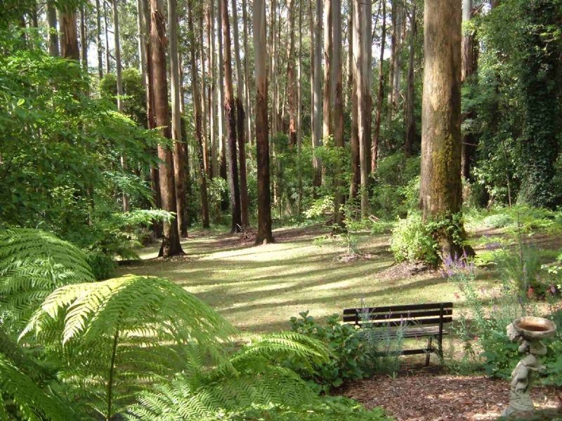 2 Upper Coonara Road, Olinda VIC 3788